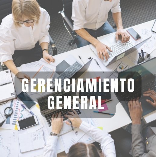 Gerenciamiento General — Crecimiento & Rentabilidad