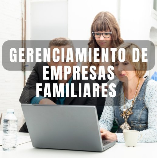 Gerenciamiento de Empresas Familiares — Profesionalización & Permanencia