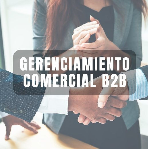 Gerenciamiento Comercial B2B — Adquisición & Retención de Clientes